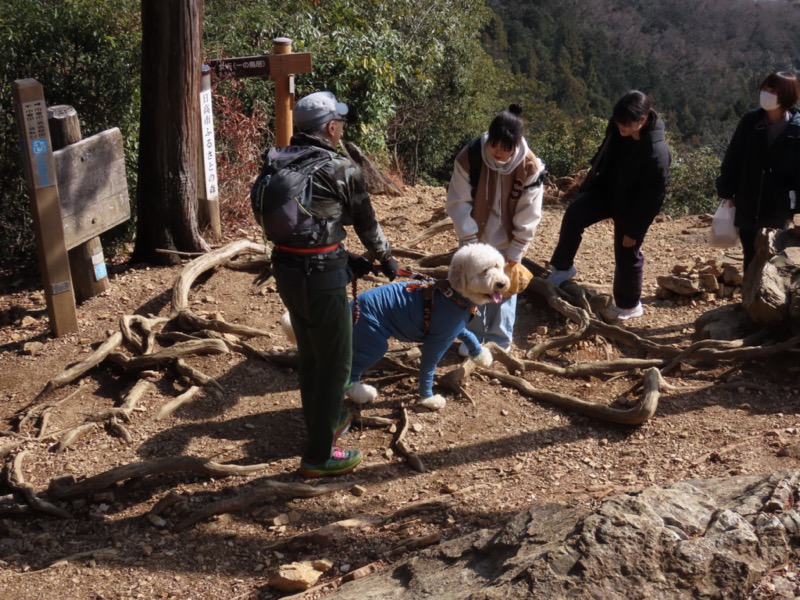 日和田山、物見山